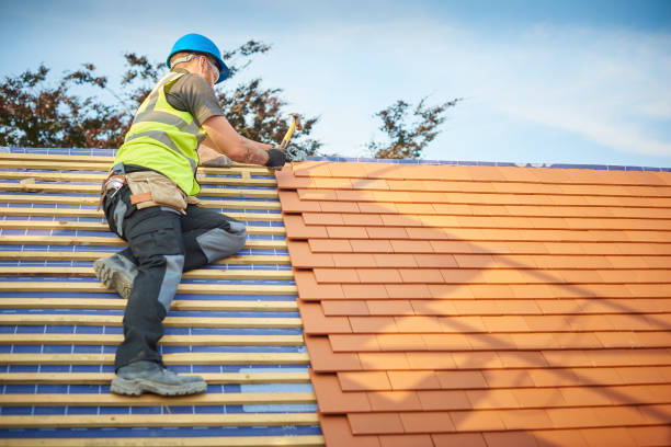 Best Metal Roofing Installation  in Mahtomedi, MN
